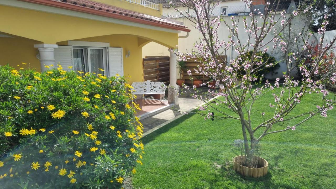 Casa Das Palmas โอบิดอส ภายนอก รูปภาพ